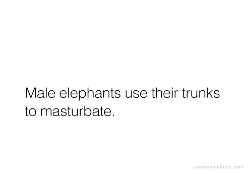 psychofactz:  More facts