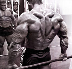 drwannabe:  Jeff Long 