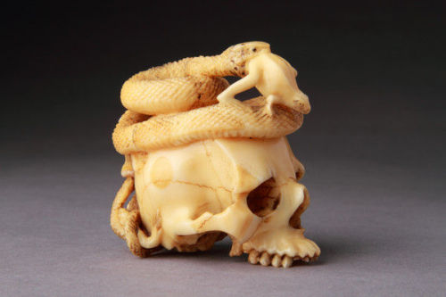 Okimono of a human skullA Japanese carved Walrus ivory Okimono of a human skull ‘Memento Mori’, a la