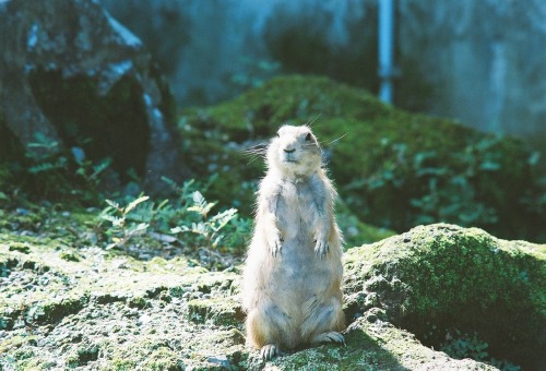 平川動物公園