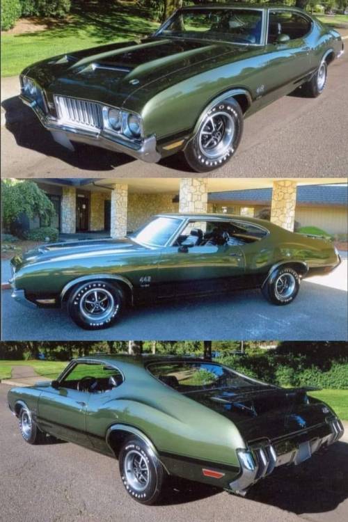 tkthegoddess:  sosoulfull:  yourcarsstuff:  Oldsmobile 442   Yes. I’m into cars and no, that doesn’t make me less of a ‘feminine’ woman 🙄   OH. EMM. GEEE!😍💋