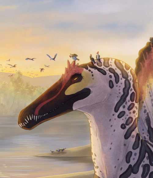 koskimangusti: hey look it’s a spinosaurus just chillin’