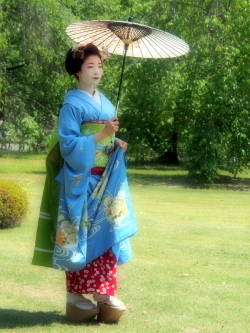 geisha-kai:  Maiko Miena for May 2014 by Hamanomasa 