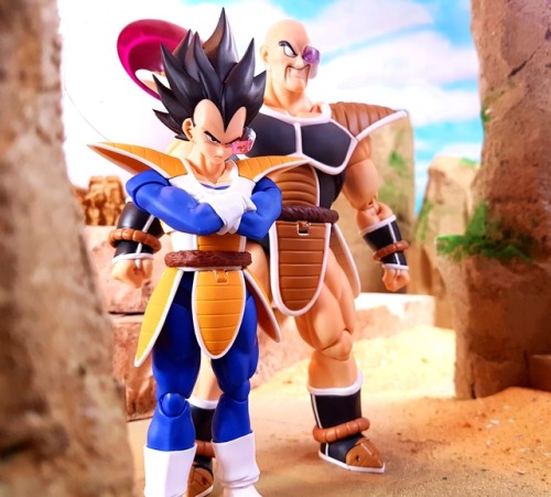 The Saiyans Are Coming 2.0 HD Remix  In this shot: SH Figuarts Dragonball Z Vegeta &amp; Nappa, 