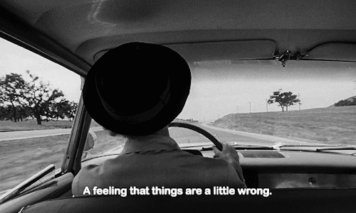 tumblr_pe5lpwFVMh1r0msi2o1_500.gifv