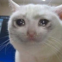 —¿Nivel de italiano?  —Altini  —No sabe nada ¿Verdad?  —Nadini  —¡Largo
