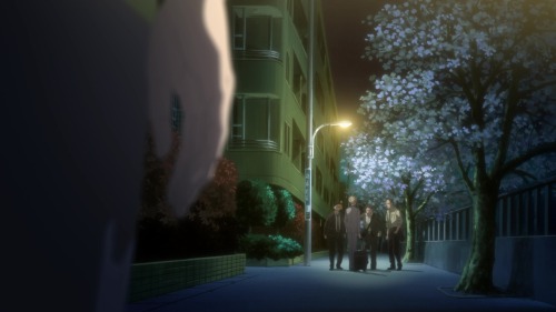 anime-captured
