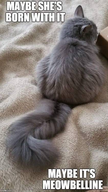 My little supermodel