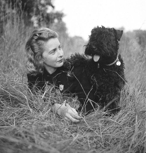 macrolit:Authors with their dogs:Joan DidionE.B. WhiteStephen KingAmy TanIan FlemingMargaret Wise Br