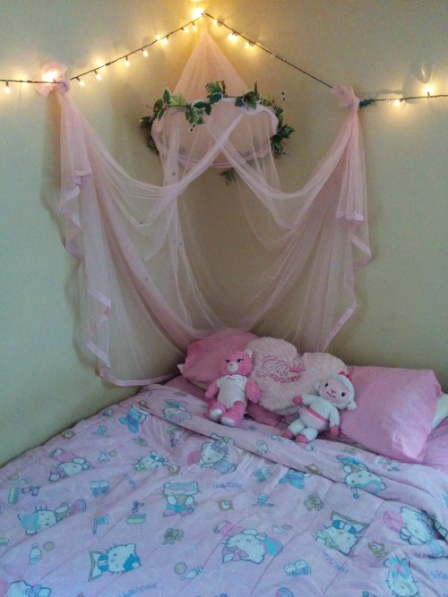 gooeyprincess:  Daddy put up my princess canopy and all my babies!