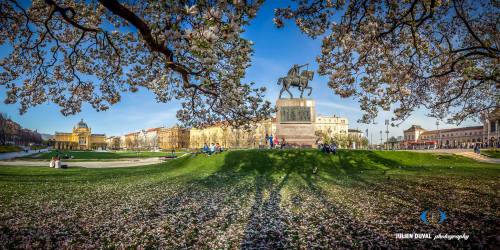 #284 Get the full panoramic view on Tomislavac from its surrounding Magnolia trees. A true Croatian 