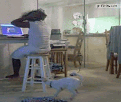 Gifss-Heaveen:   Like Gifs? Visit My Blog! !