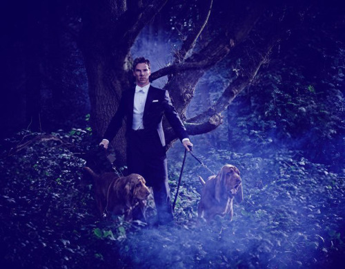 cumberbum: Benedict Cumberbatch Vanity Fair photoshoot outtakes