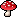 mushroom again