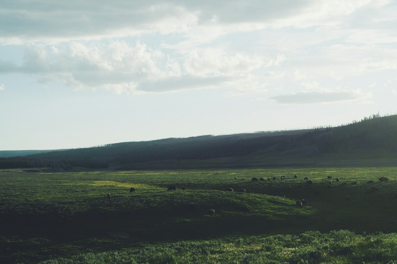 ceeshelt:  The Wyoming backcountry is a national treasure. Photos by Chris Shelton