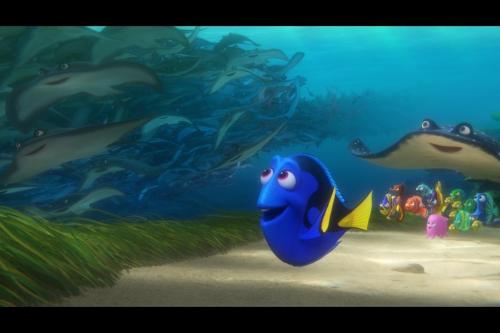 Finding Dory stills.