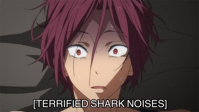 swagayama:  I heard it was Shark Week. 