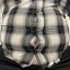 heavybearpup