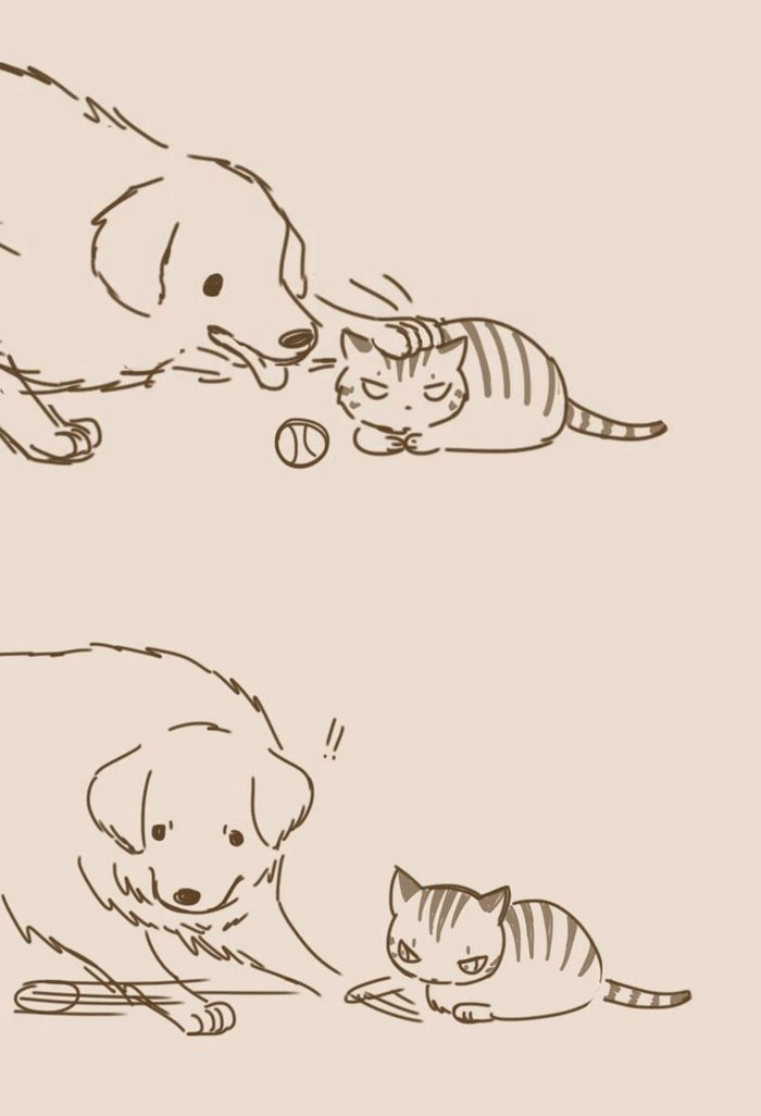 pr1nceshawn: Dogs And Cats  by Lynol  .