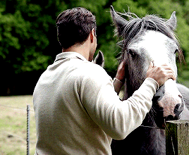 henrycavilledits:“At one stage, when the crew wants to get Cavill next to some horses, he shows some