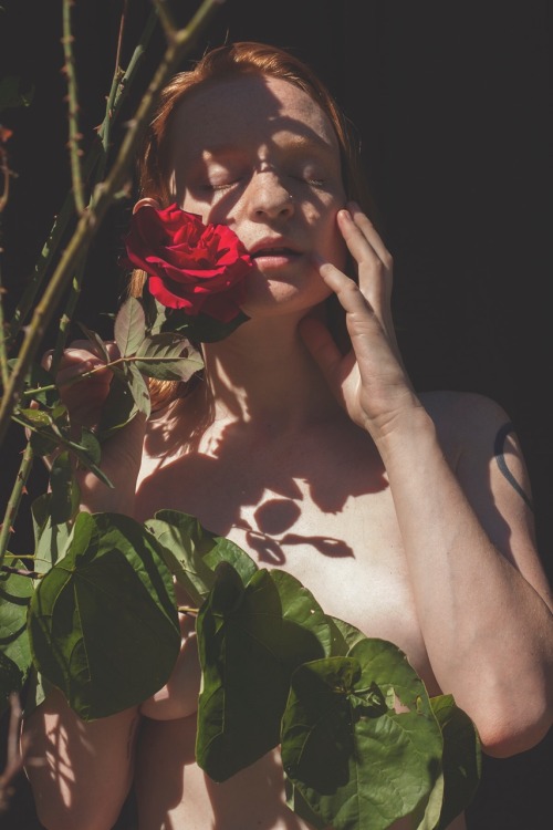 coconutdreamin: Ruby Slipper by Nina Covington / Nashville, TN October 2016