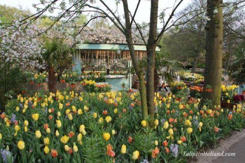 RT @tulips_holland: Beautiful inspiration gardens at Keukenhof, this was the holiday romance garden 