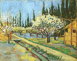 vincentvangogh-art:  Orchard in Blossom, Bordered by Cypresses, 1888 Vincent van Gogh 