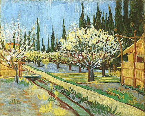 Orchard in Blossom,Borderesd by Cypresses,1888 Vincent van GoghArles, Bouches-du-Rhône, FrancePost-i