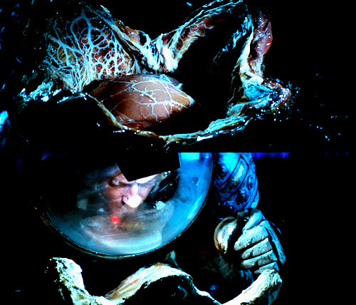 wwwjc131599:  luciofulci-deactivated20200614: “You still don’t understand what you’re dealing with, do you? Perfect organism. Its structural perfection is matched only by its hostility.” Alien (1979)   “I admire its purity. A survivor…