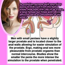 primesissy:  tallsub42:  mislori:  I knew there was a scientific explanation. Just loving the emasculation of presenting my boi pussy relaxing and letting it happen as he grunts and relives himself in me wasn’t the only reason.   Makes sense haha  My