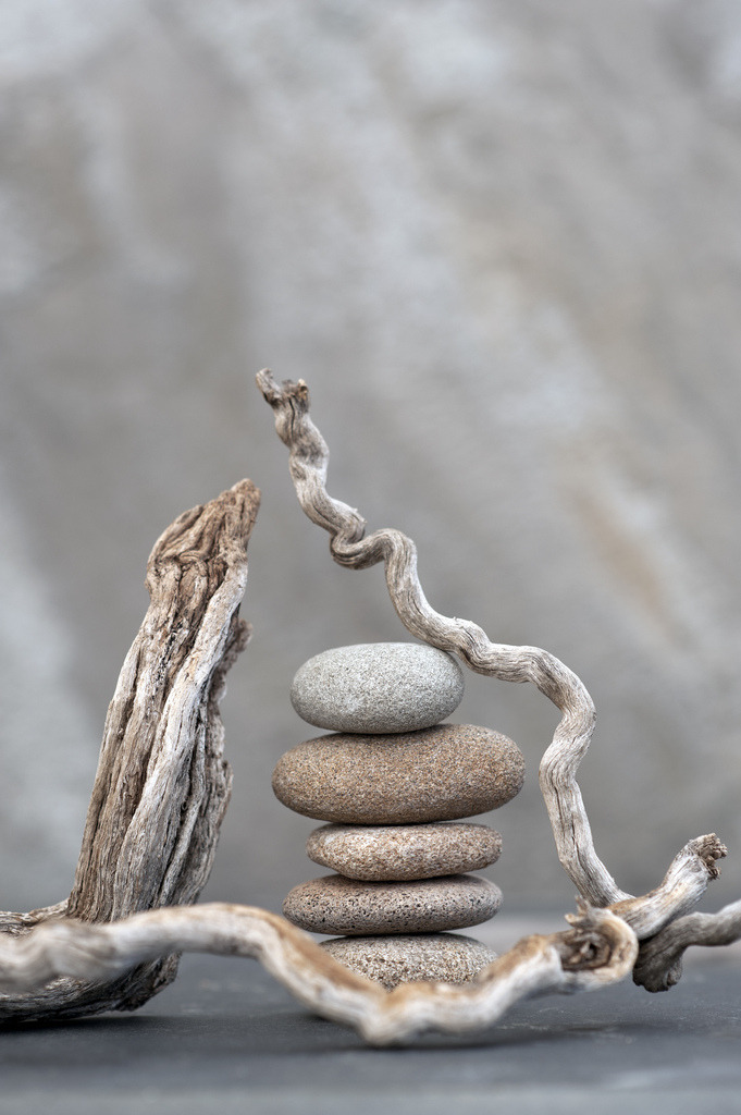 artpropelled:  Roots And Stones (by ElenaRay)