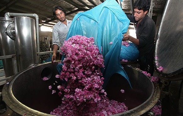 appassendo:   the-hidden-diaries:  The making of rose water in Iran.   Non penso