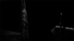 reelhorrors:  The Bride Of FrankensteinDirected by James Whale (1935) 