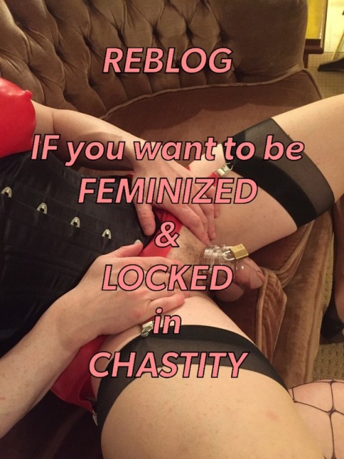 youngsissymaid: chastity-queen: REBLOG if you want chastity and feminization. at the hands of a Mist