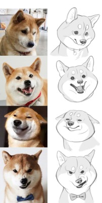 mijileeillust:Shiba dog my many moods sometimes XD