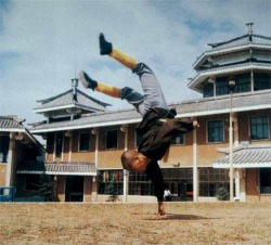 taichi-kungfu-online:  Shaolin Kung Fu 