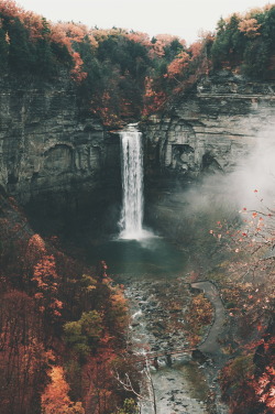 ikwt:  Upstate waterfalls (Jayson Cunha)