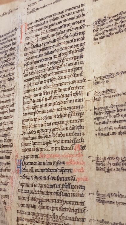 LJS 35 - Manuscript leaves from a canon law textSometimes even a couple of leaves can tell us so muc