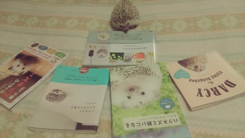 今日どれにしようかな～  Which book should I read today?