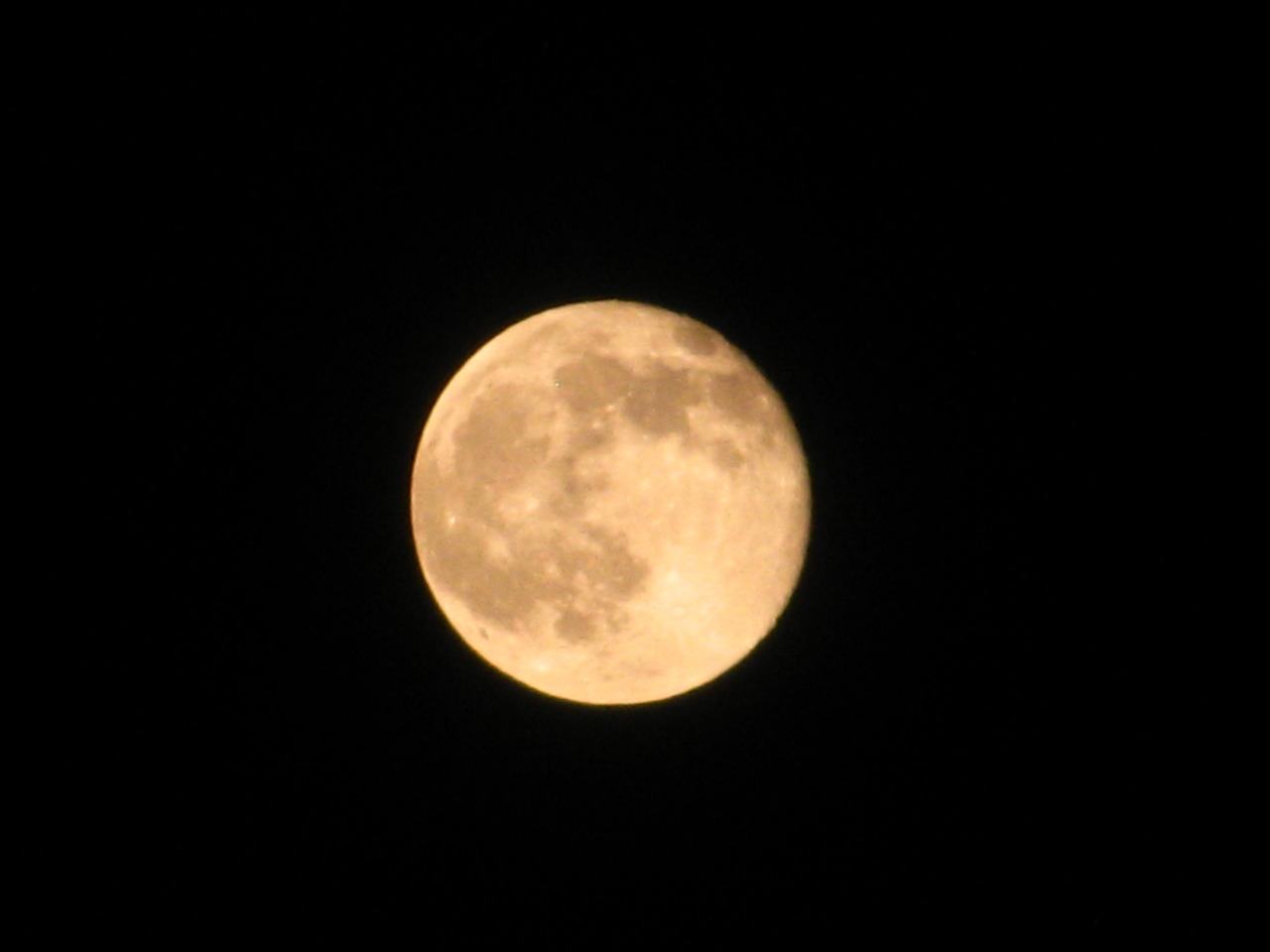 monochromaticfox:  full moon friday / / 6/13/14 