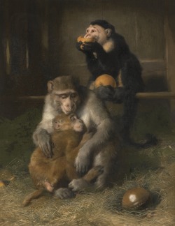 enchantedsleeper:  The Sick Monkey, Sir Edwin