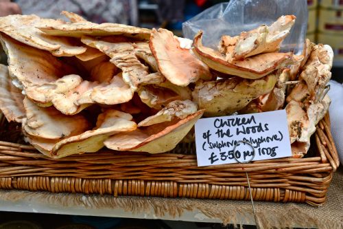 Mushrooms of Borough Market