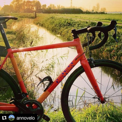 deanimacicli: #Repost @annovelo (@get_repost) ・・・ Just enjoying the ride @deanimacicli #cyclinglife 