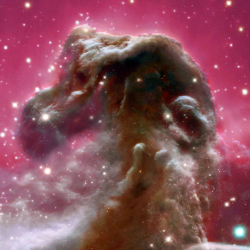 just–space:The Horsehead Nebula from Blue to Infraredjs