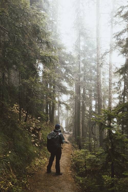 Hiking around Mount Rainier NP, Washington || IG: BToneVibes