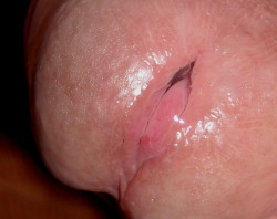 precumer:  Ultra close up!