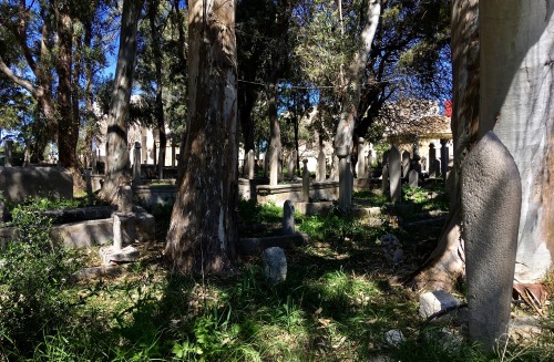 Moamethaniko CemeteryRhodes Town, Rhodes, GreeceMarch 2020