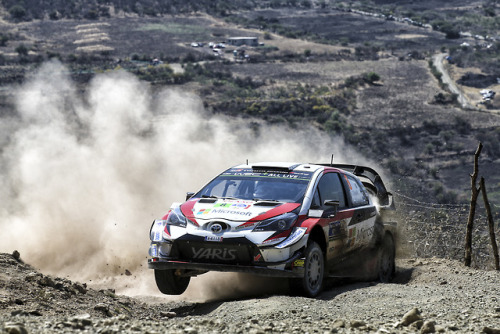 Ott Tänak / Martin JärveojaRally Guanajuato Corona Mexico 2018 © TOYOTA MOTOR CORPORA