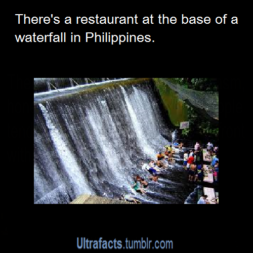 ultrafacts:  SourceFollow Ultrafacts for more facts 