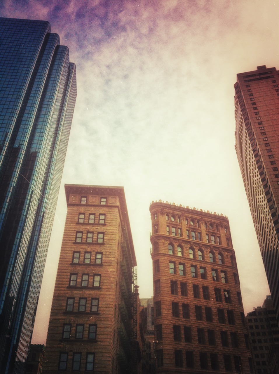 thegardenclub:  Boston.